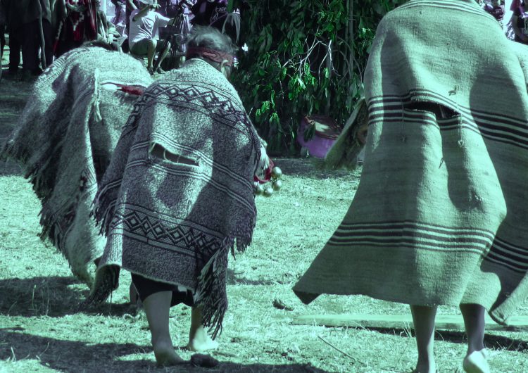 La vulneración del derecho a educación de los niños mapuche en medio de la militarización
