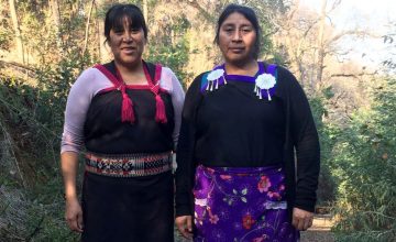Mujer y territorio: La vida de las hermanas Ñancul en medio de la persecución policial
