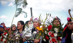 Las mujeres mapuche de Temucuicui: la werken Vania Queipul
