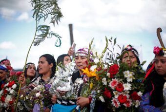 Las mujeres mapuche de Temucuicui: la werken Vania Queipul
